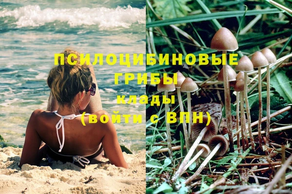 COCAINE Гусев