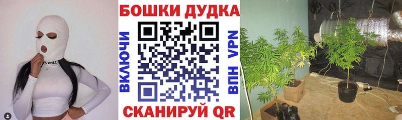 Шишки марихуана план  Купить  Приозерск 